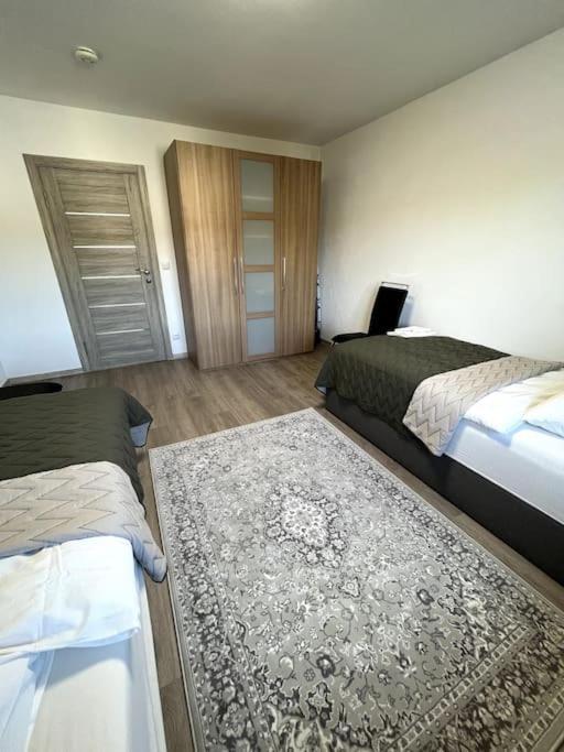 Familienwohnung Naehe Europapark, Messe, Gifiz See Offenburg Dış mekan fotoğraf